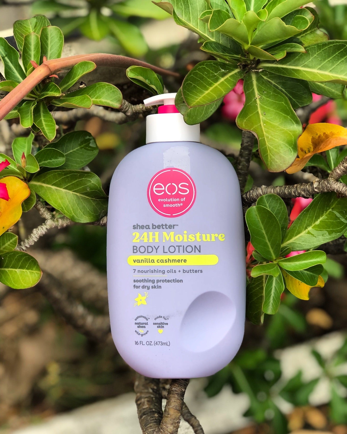 EOS Shea Better 24Hrs Moisture - Vanilla Cashmere Body Lotion, 473Ml