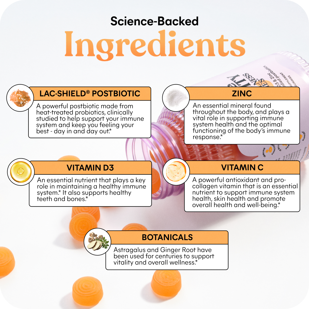 Lemme Immunity Daily Wellness Gummies, 60 Gummies