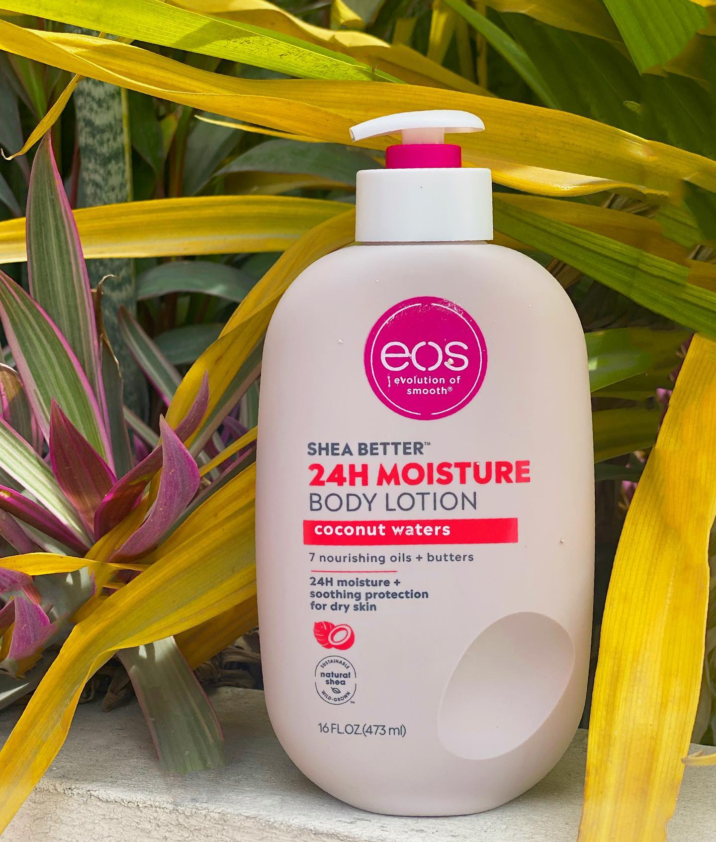 EOS Shea Better 24Hrs Moisture - Coconut Waters Body Lotion, 473Ml