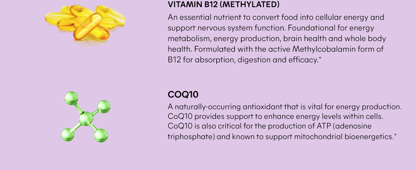 Lemme Matcha Energy B12 Gummies, 60 Gummies